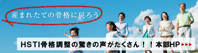 HSTI���i�����{���g�o�b�P�H�s ���̎s ���� �t���[�`���[